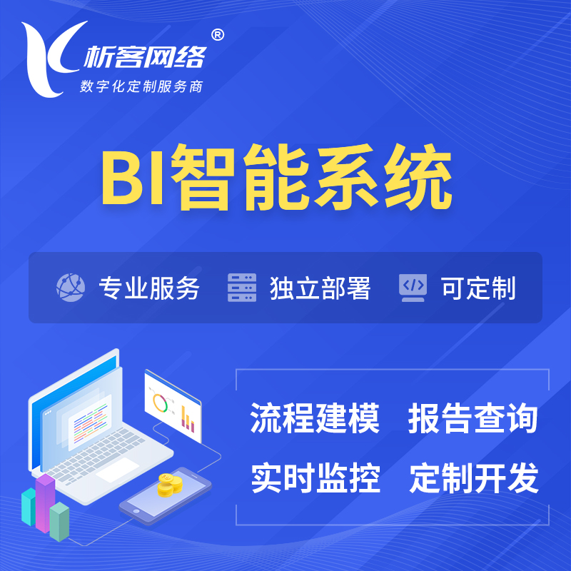 江门BI智能系统 | BI数据可视化