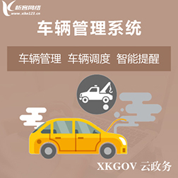 江门国产化网站定制如何适应政策要求