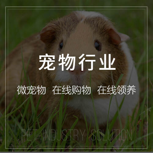江门国产化网站定制的技术架构与安全保障